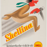 Shellina