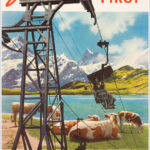 Grindelwald First, Schweiz Suisse Switzerland Svizzera (Bern, Berna)