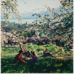 Lake of Geneva region, village of La Tour de Peilz (Vevey)