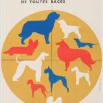 Exposition Internationale de chiens 1968, Brno / Dog exhibition