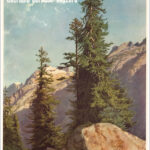 Oberland Bernese