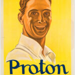 Proton fortifica, Pinerolo