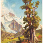 Wengernalp, Oberland Bernese