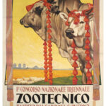 Concorso Nazionale Zootecnico