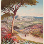 PLM, Hyères, Côte d’Azur