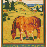 Saignelegier, La Chaux de Fonds (Jura, Giura)