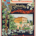 Vini Olii di Catignano, Barone M. Sergardi Biringucci - Chianti Siena, Toscana
