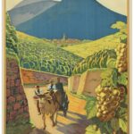 Au pays du bon vin d'Alsace