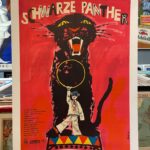 Schwarze Panther (Zirkus, circo, circus, cirque)