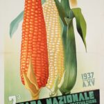 2.a Gara Nazionale Granoturco