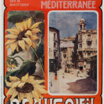 PLM, Beausoleil - Gare de Montecarlo