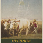 Novara, Esposizione Agricola Zootecnica Industriale