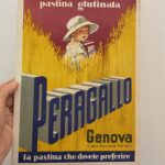 Pastina glutinata Peragallo, Genova