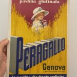 Pastina glutinata Peragallo, Genova